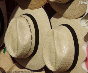 yapboz Panama şapka
